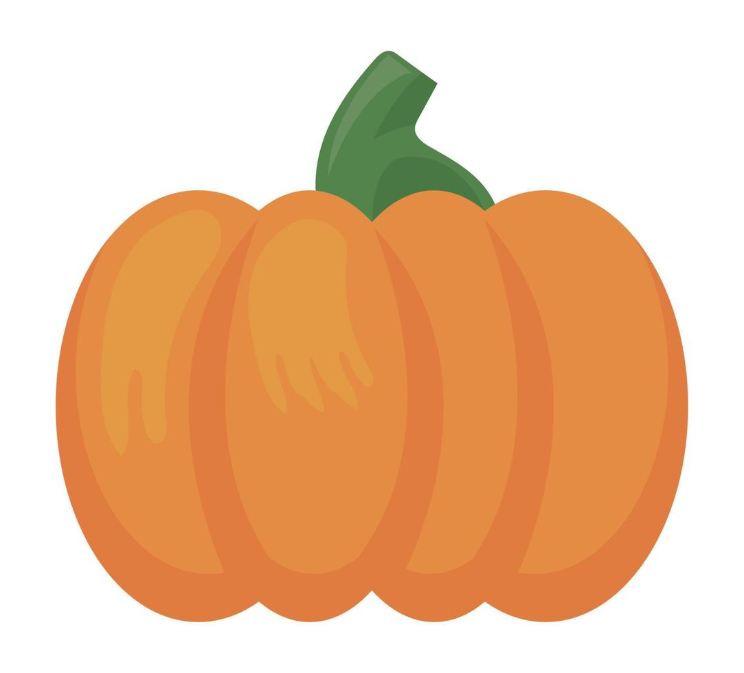 temporada de otoño vegetal de calabaza vector