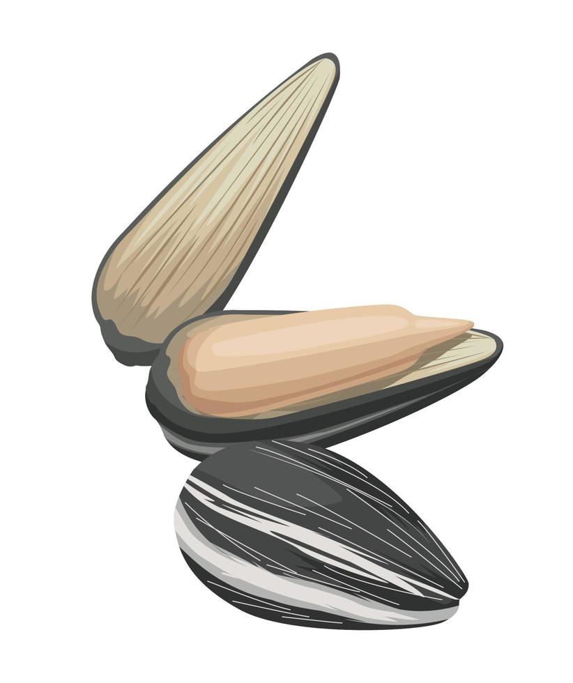 three sunflower seeds vector