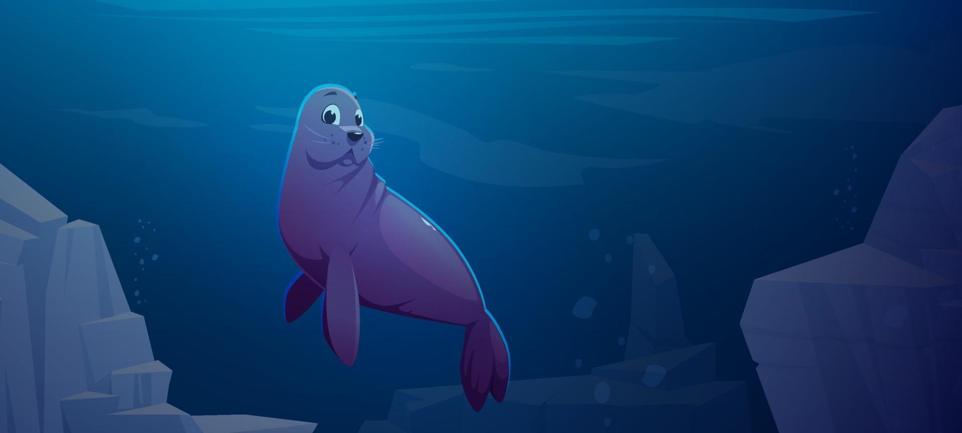 Cute fur seal swim in underwater ocean space. vector