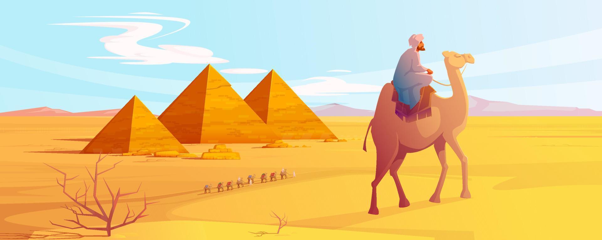 Egypt desert landscape with pyramids and camels vector