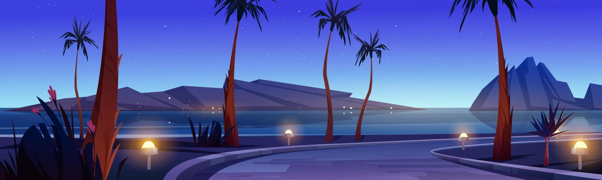 camino en la playa del mar con palmeras en la noche vector