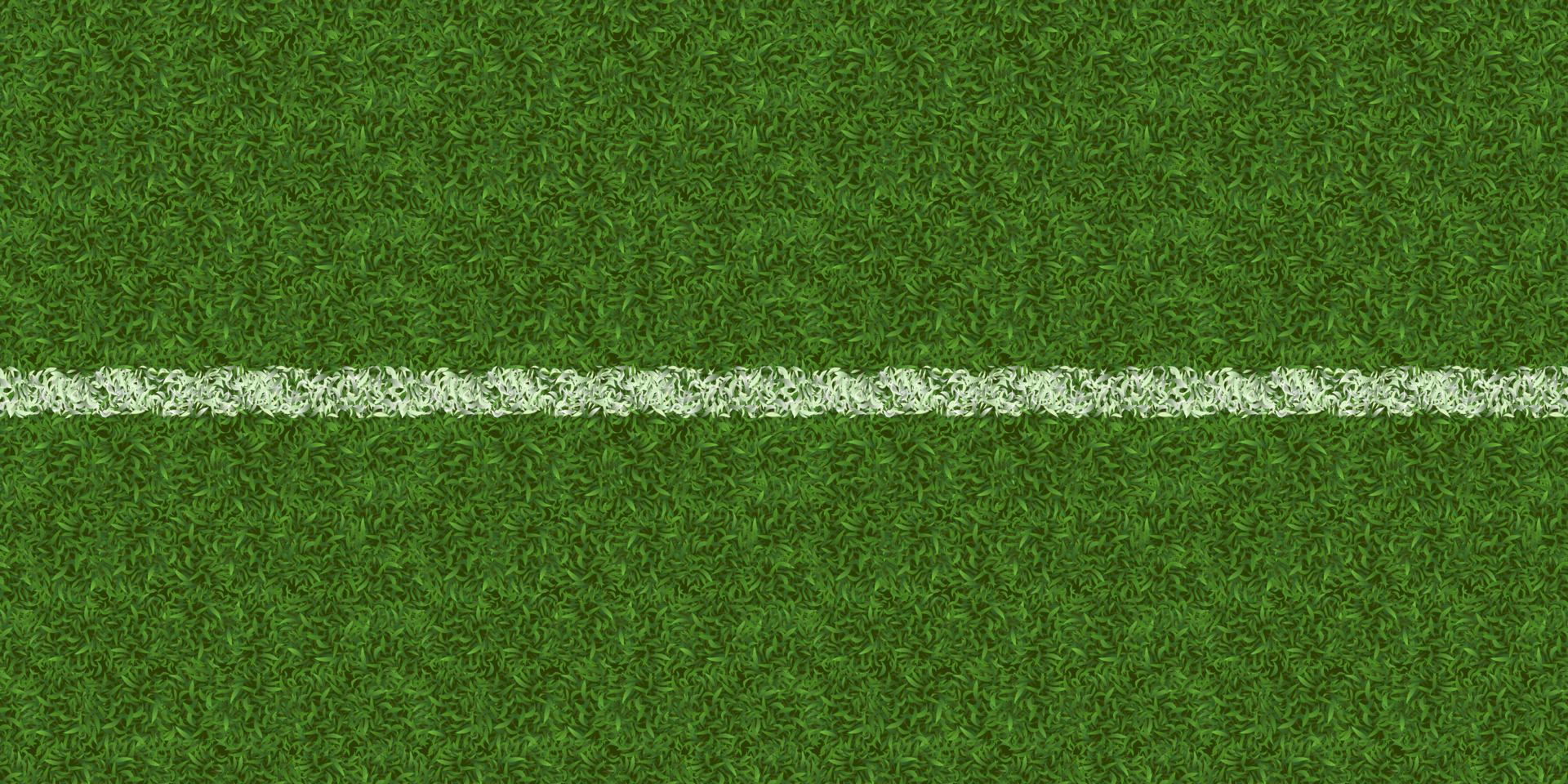 Soccer field texture top view, lawn background vector