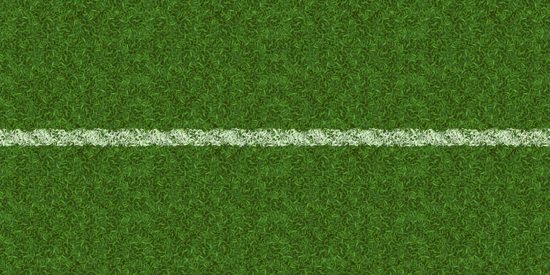 Soccer field texture top view, lawn background vector