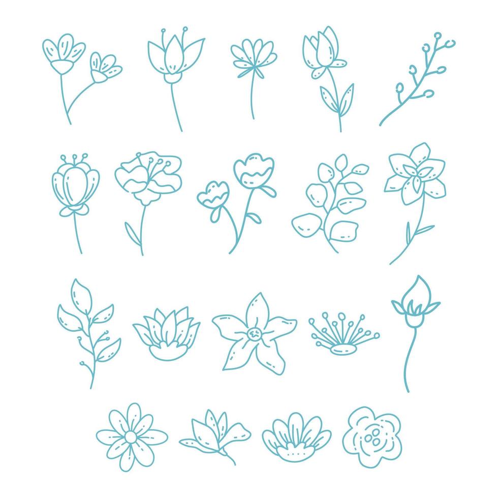 elementos decorativos florales dibujados a mano vector