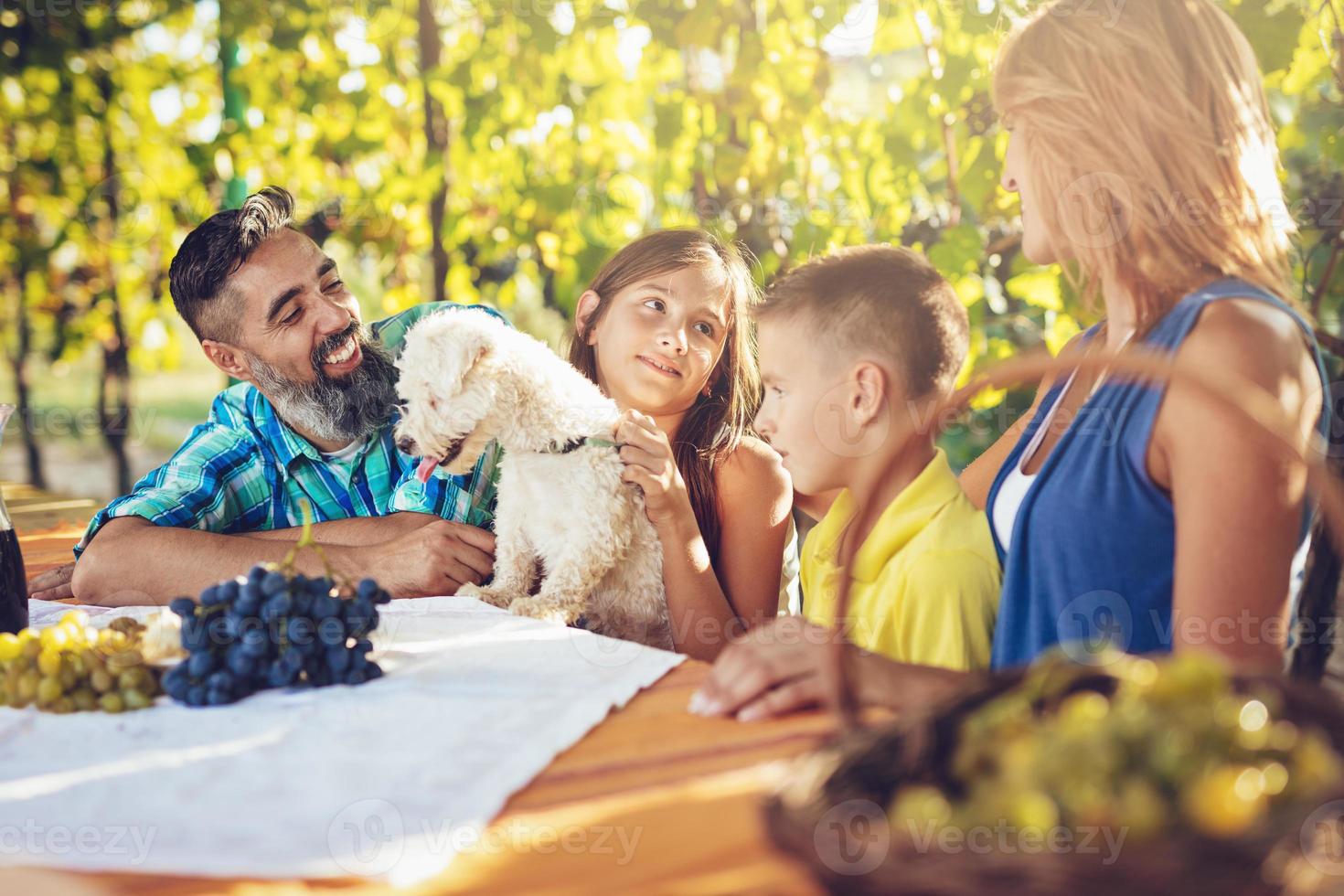 Picnic At Vineyard 14072412 Stock Photo at Vecteezy