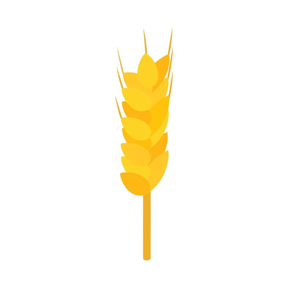 Wheat icon, isometric 3d style vector