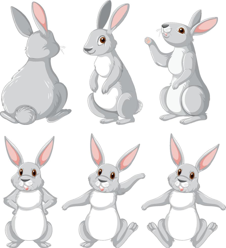 White rabbits in different poses set vector