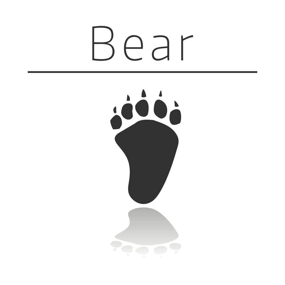 Bear animal track vector