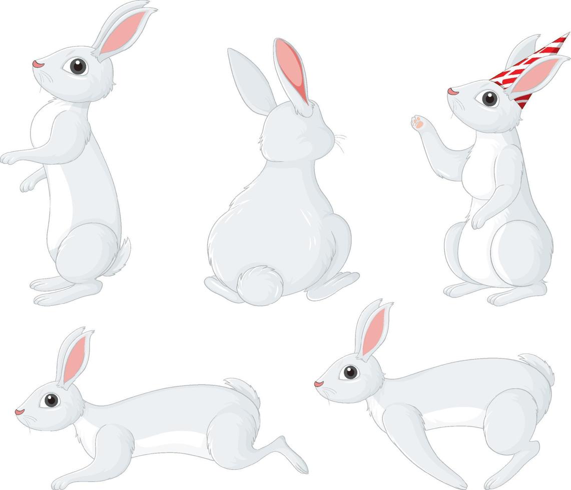 White rabbits in different poses set vector