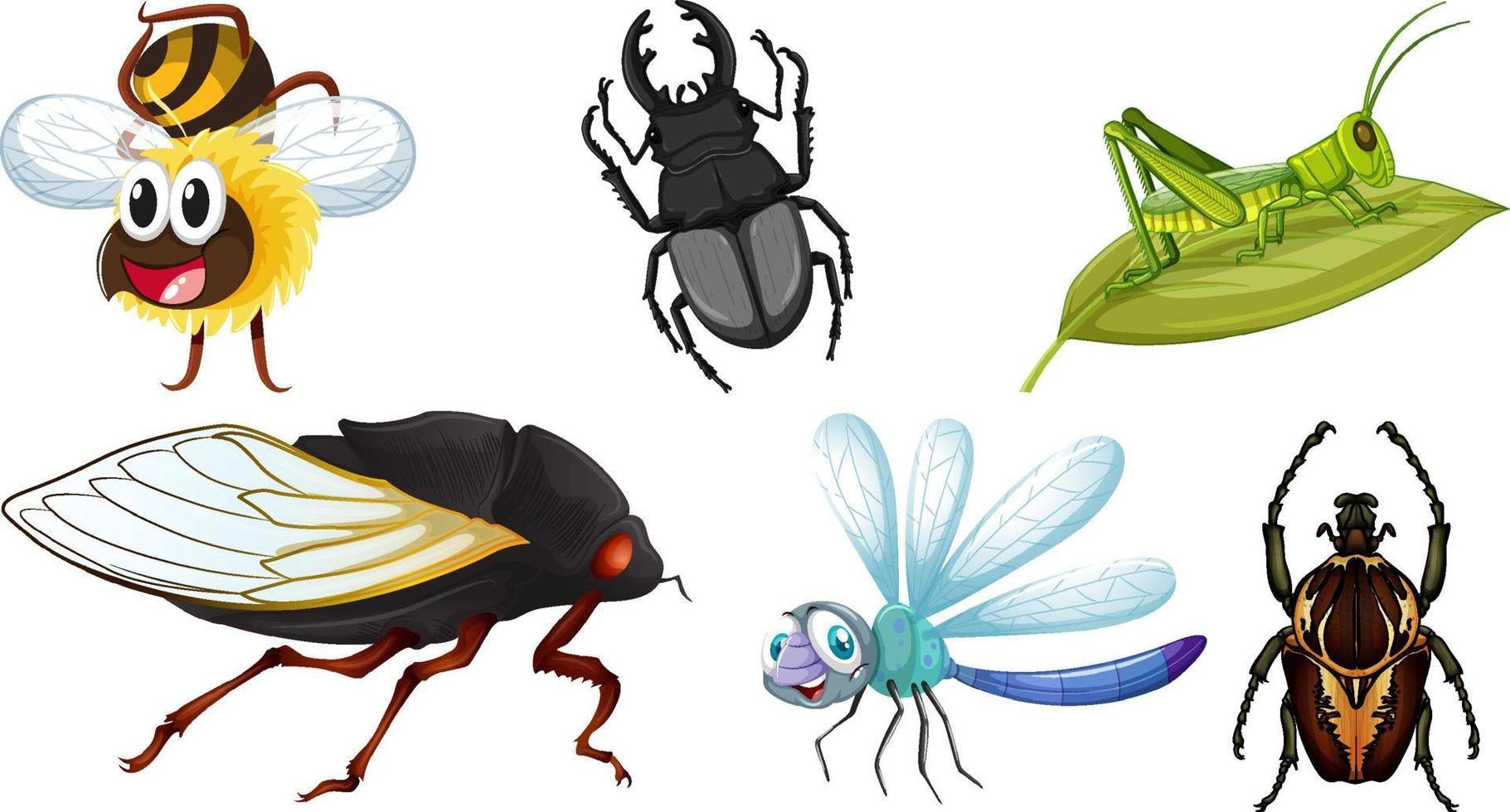 conjunto de diferentes tipos de insectos vector