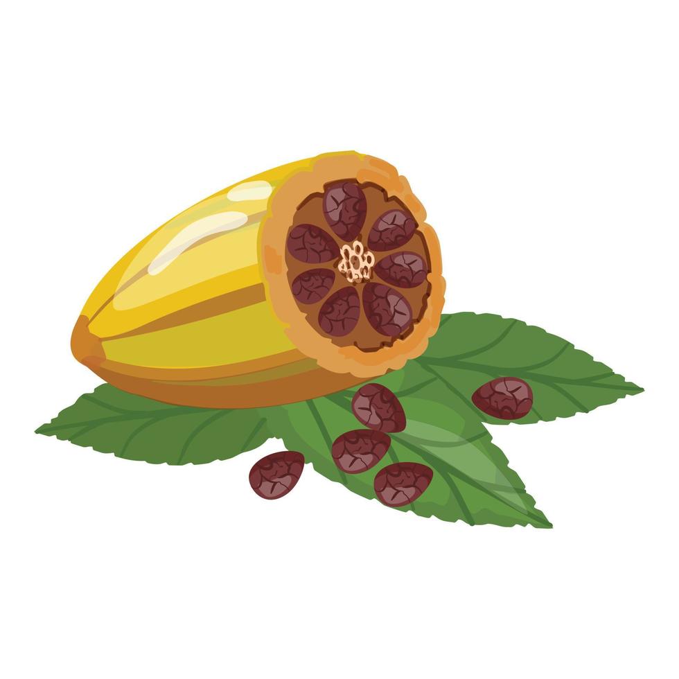 vector de dibujos animados de icono de fruta de cacao de árbol. nuez de hoja