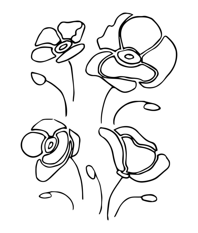 conjunto de flores dibujadas a mano, ilustraciones botánicas negras aisladas en fondo blanco. garabato, amapolas, dibujo vector