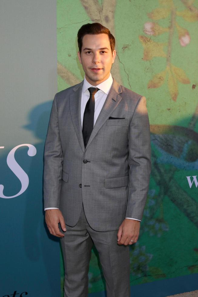 LOS ANGELES - JUN 26 - Skylar Astin at the Sharp Objects HBO Premiere Screening at the ArcLight Theater on June 26, 2018 in Los Angeles, CA photo