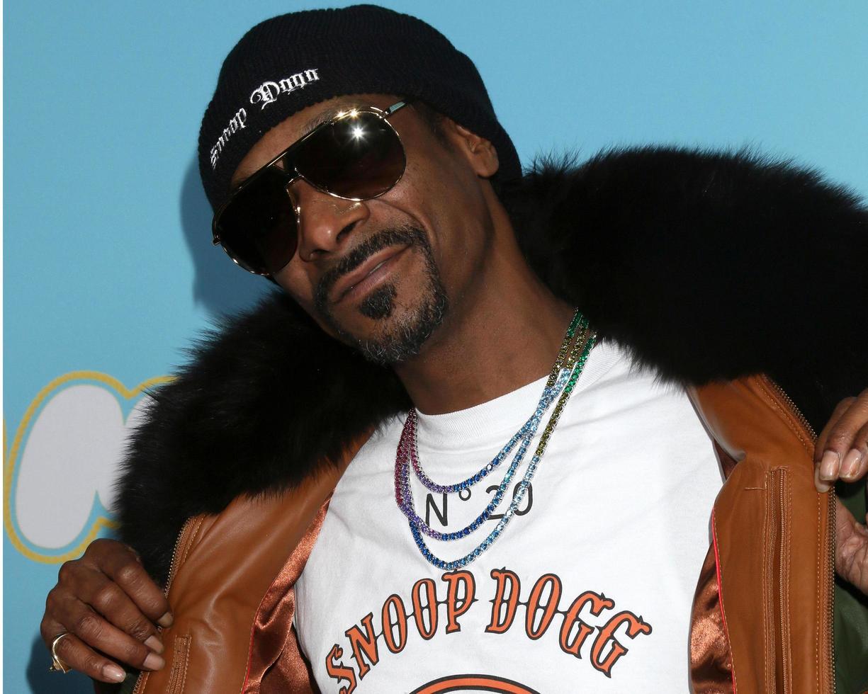 LOS ANGELES - MAR 28 - Snoop Dogg, Calvin Broadus Jr at The Beach Bum Premiere at the ArcLight Hollywood on March 28, 2019 in Los Angeles, CA photo