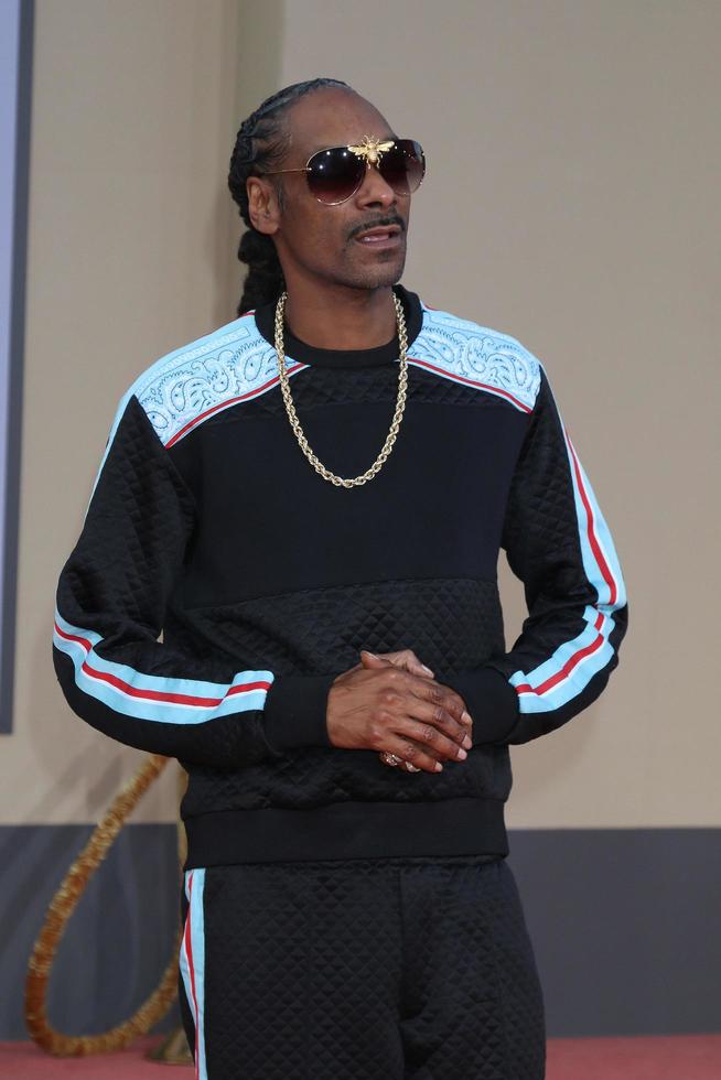 LOS ANGELES - JUL 22 - Snoop Dogg at the Once Upon a Time in Hollywood Premiere at the TCL Chinese Theater IMAX on July 22, 2019 in Los Angeles, CA photo