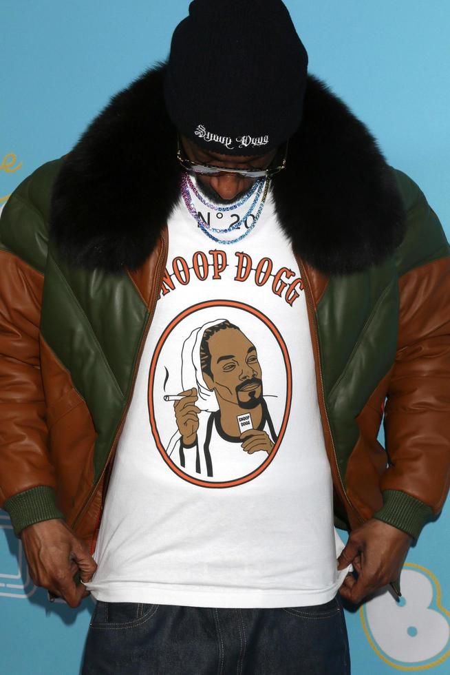 LOS ANGELES - MAR 28 - Snoop Dogg at The Beach Bum Premiere at the ArcLight Hollywood on March 28, 2019 in Los Angeles, CA photo