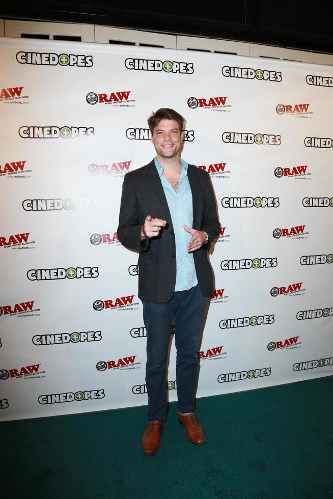LOS ANGELES, NOV 18 - Brian Drolet at the CineDopes Web Series Premiere And Launch Party at the Busby s East on November 18, 2014 in Los Angeles, CA photo