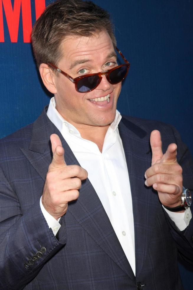 LOS ANGELES, AUG 10 - Michael Weatherly at the CBS TCA Summer 2015 Party at the Pacific Design Center on August 10, 2015 in West Hollywood, CA photo