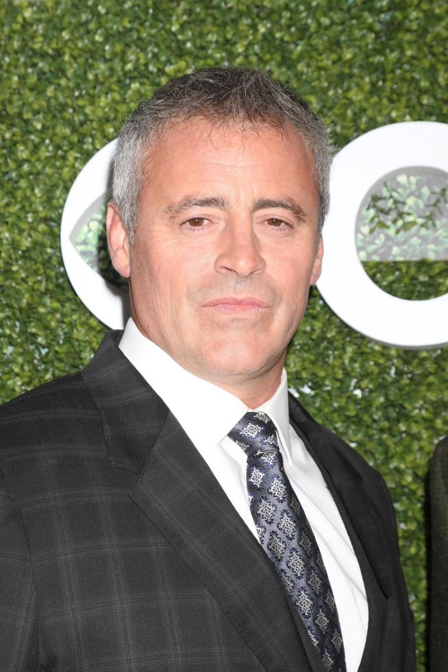 LOS ANGELES, AUG 10 - Matt LeBlanc at the CBS, CW, Showtime Summer 2016 TCA Party at the Pacific Design Center on August 10, 2016 in West Hollywood, CA photo