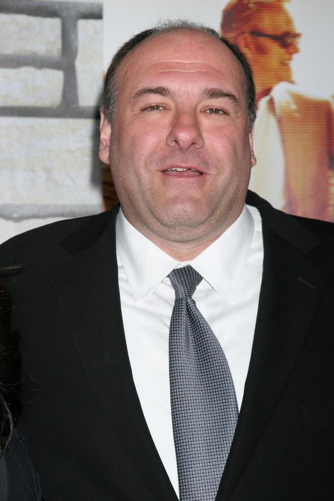 LOS ANGELES, APR 11 - James Gandolfini arriving at the HBO Films Cinema Verite Los Angeles Premiere at Paramount Studios on April 11, 2011 in Los Angeles, CA photo