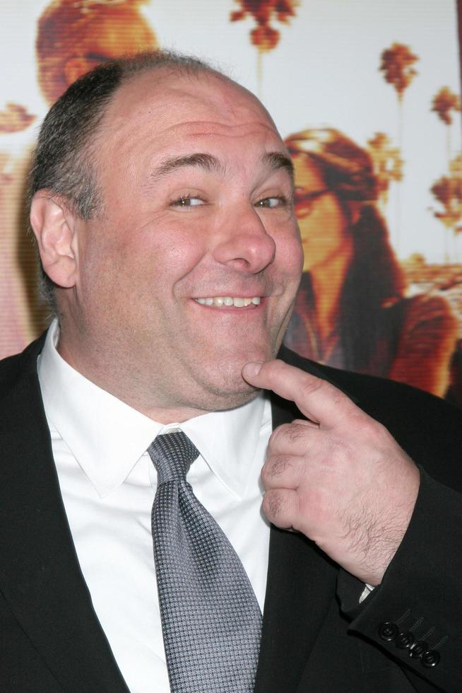 LOS ANGELES, APR 11 - James Gandolfini arriving at the HBO Films Cinema Verite Los Angeles Premiere at Paramount Studios on April 11, 2011 in Los Angeles, CA photo