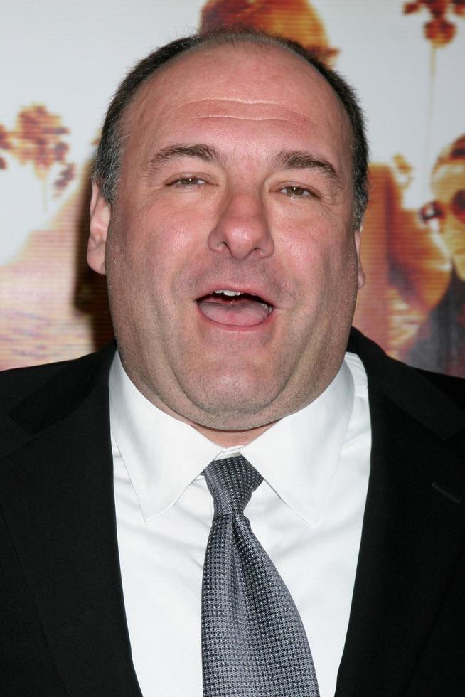LOS ANGELES, APR 11 - James Gandolfini arriving at the HBO Films Cinema Verite Los Angeles Premiere at Paramount Studios on April 11, 2011 in Los Angeles, CA photo