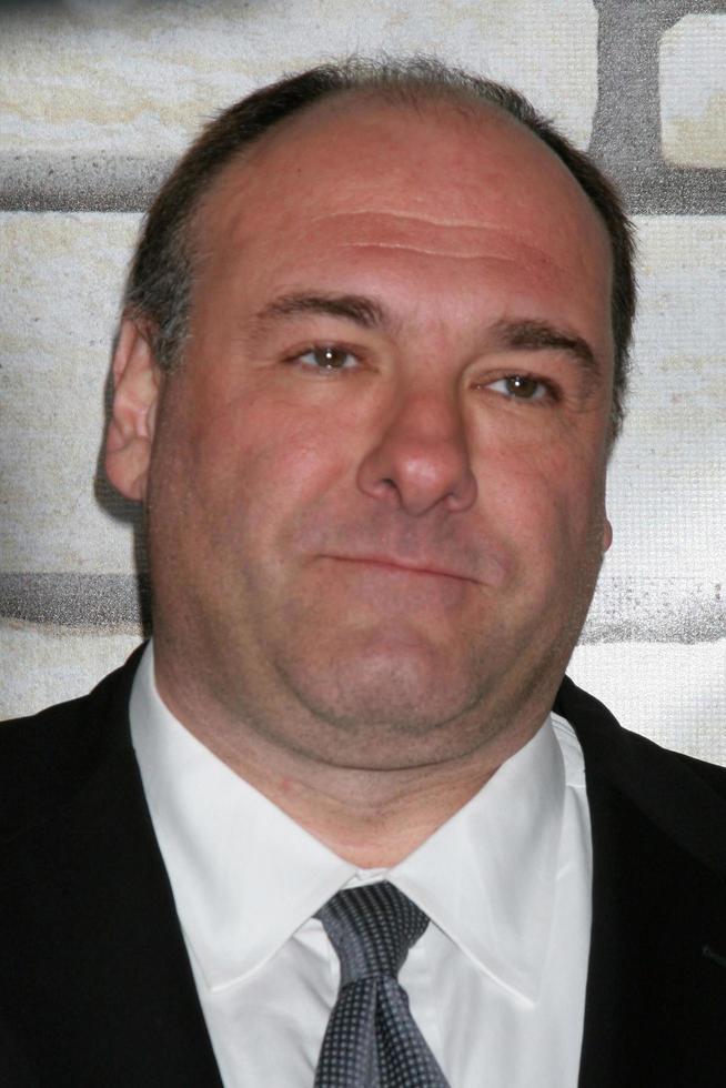 LOS ANGELES, APR 11 - James Gandolfini arriving at the HBO Films Cinema Verite Los Angeles Premiere at Paramount Studios on April 11, 2011 in Los Angeles, CA photo