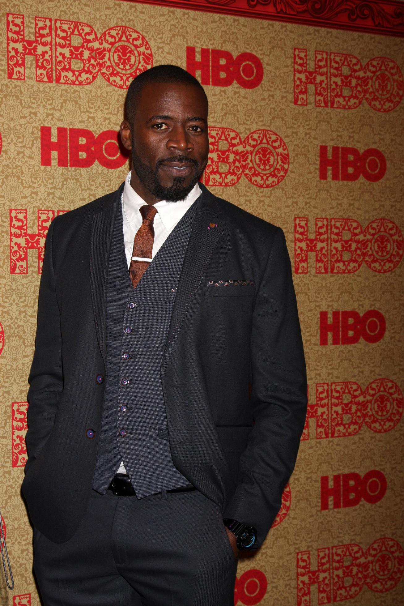 vLOS ANGELES, JAN 12 Demetrius Grosse at the HBO 2014 Golden Globe