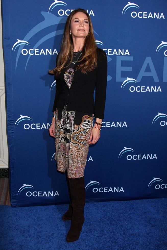 LOS ANGELES, OCT 30 - Diane Lane at the Oceana s Partners Awards Gala 2013 at Beverly Wilshire Hotel on October 30, 2013 in Beverly Hills, CA photo