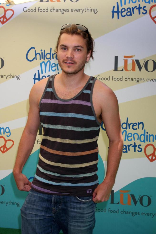 LOS ANGELES, JUN 14 - Emile Hirsch at the Children Mending Hearts 6th Annual Fundraiser at Private Estate on June 14, 2014 in Beverly Hills, CA photo