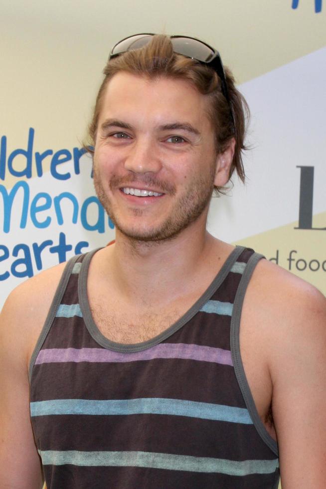 LOS ANGELES, JUN 14 - Emile Hirsch at the Children Mending Hearts 6th Annual Fundraiser at Private Estate on June 14, 2014 in Beverly Hills, CA photo