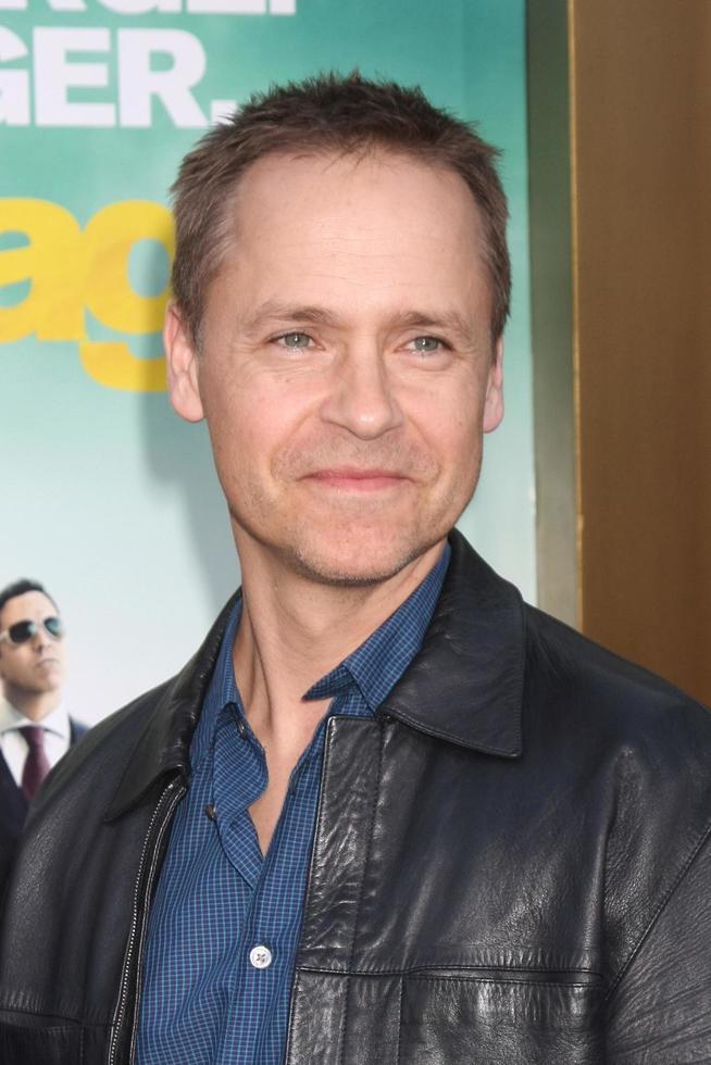 LOS ANGELES, MAY 27 - Chad Lowe at the Entourage Movie Premiere at the Village Theater on May 27, 2015 in Westwood, CA photo