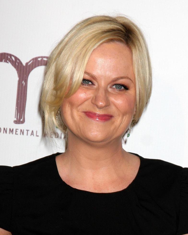LOS ANGELES, OCT 16 - Amy Poehler arrives at the 2010 Environmental Media Awards at Warner Brothers Studios on October 16, 2010 in Burbank, CA photo