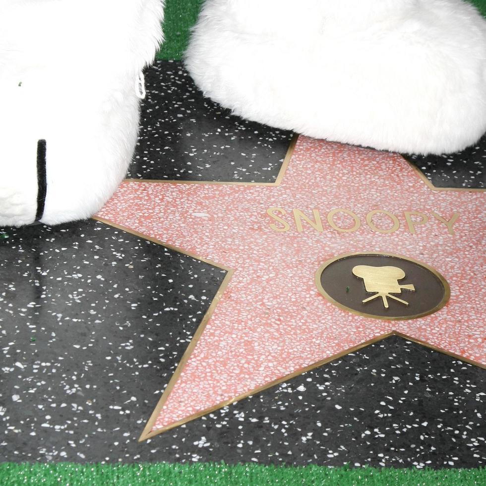 LOS ANGELES, NOV 2 - Snoopy s paws with Star at the Snoopy Hollywood Walk of Fame Ceremony at the Hollywood Walk of Fame on November 2, 2015 in Los Angeles, CA photo