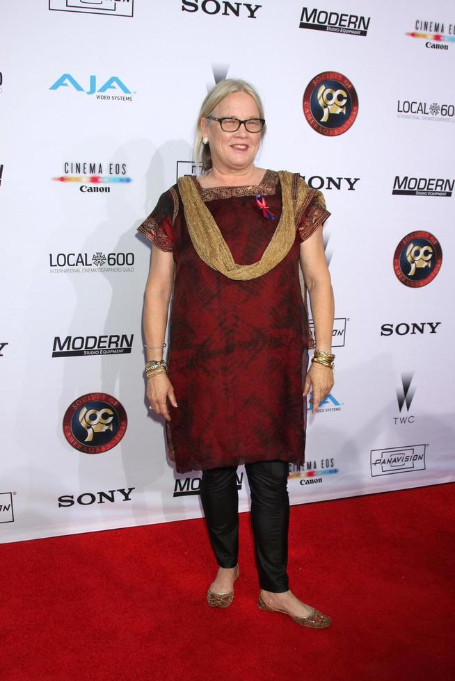 LOS ANGELES, FEB 8 - Suzanne Hanover at the 2015 Society Of Camera Operators Lifetime Achievement Awards at a Paramount Theater on February 8, 2015 in Los Angeles, CA photo