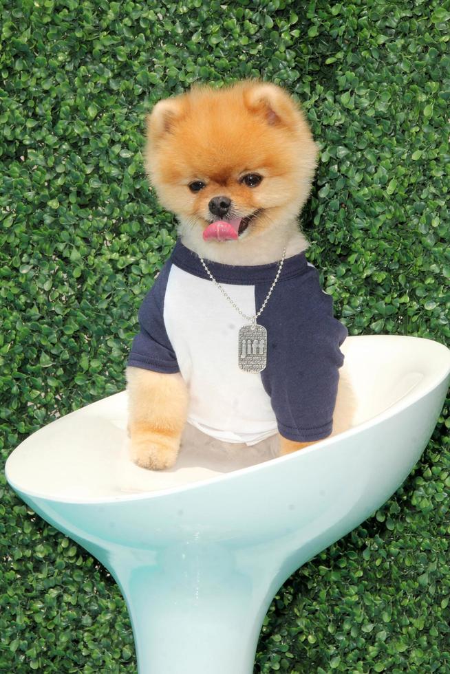 0LOS ANGELES, MAY 16 - Jiff at the Super Saturday LA at the Barker Hanger on May 16, 2015 in Santa Monica, CA photo