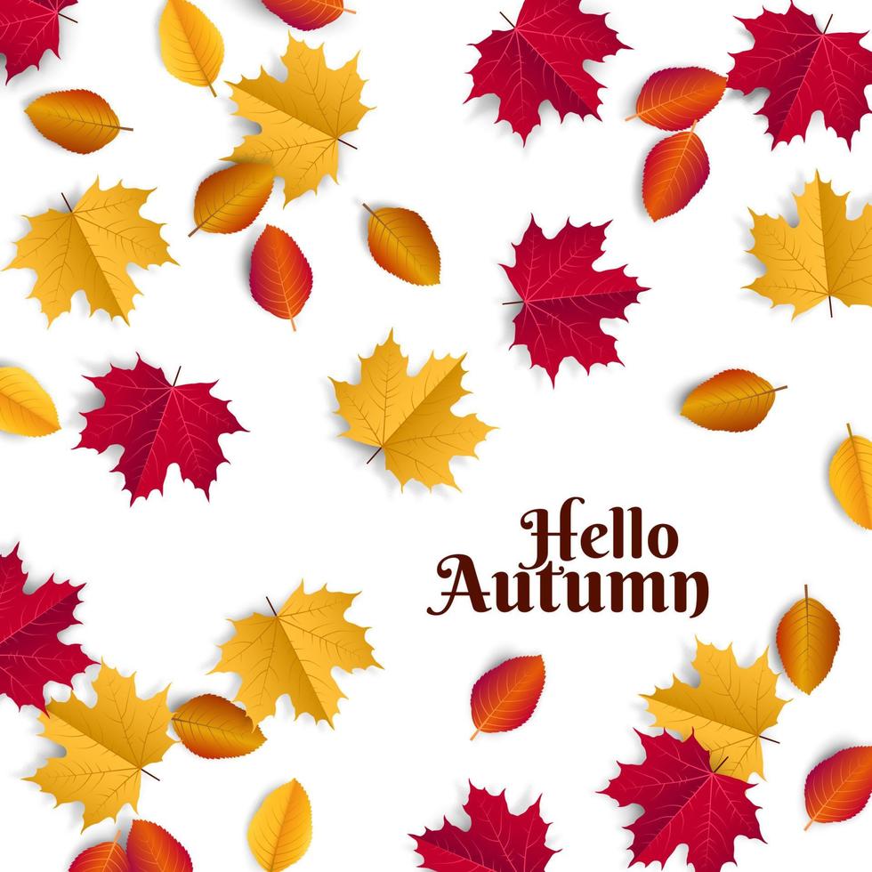 Hello Autumn illustration with scattered autumn leaves. Maple and mint leaves falling on the floor. vector