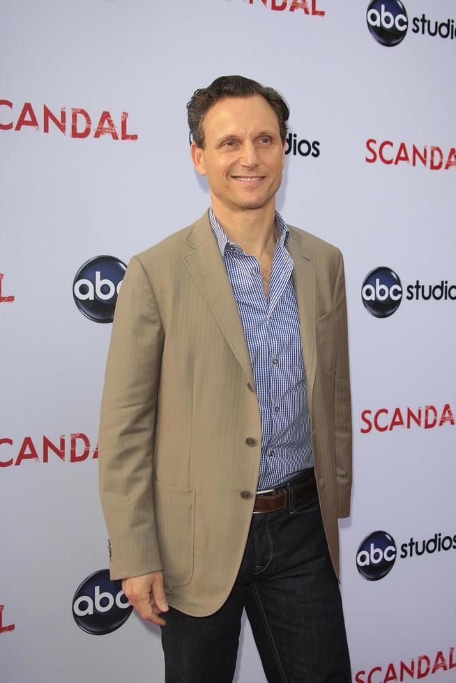 LOS ANGELES, MAY 16 - Tony Goldwyn arrives at An Evening with Scandal at the Leonard H Goldenson Theater on May 16, 2013 in No Hollywood, CA photo