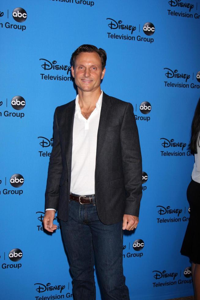 LOS ANGELES, AUG 4 - Tony Goldwyn arrives at the ABC Summer 2013 TCA Party at the Beverly Hilton Hotel on August 4, 2013 in Beverly Hills, CA photo