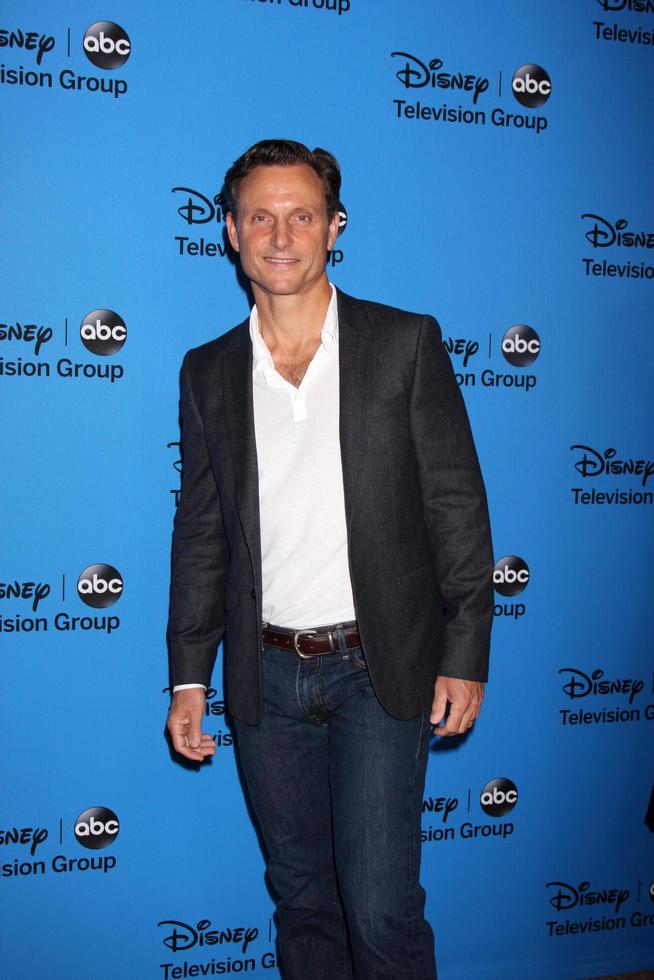 LOS ANGELES, AUG 4 - Tony Goldwyn arrives at the ABC Summer 2013 TCA Party at the Beverly Hilton Hotel on August 4, 2013 in Beverly Hills, CA photo