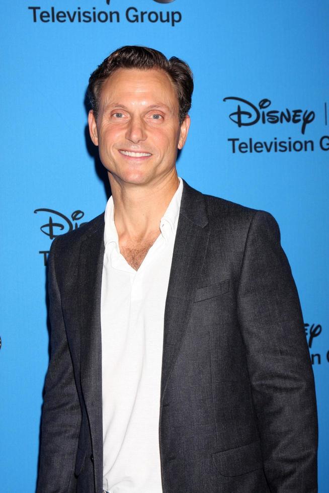 LOS ANGELES, AUG 4 - Tony Goldwyn arrives at the ABC Summer 2013 TCA Party at the Beverly Hilton Hotel on August 4, 2013 in Beverly Hills, CA photo