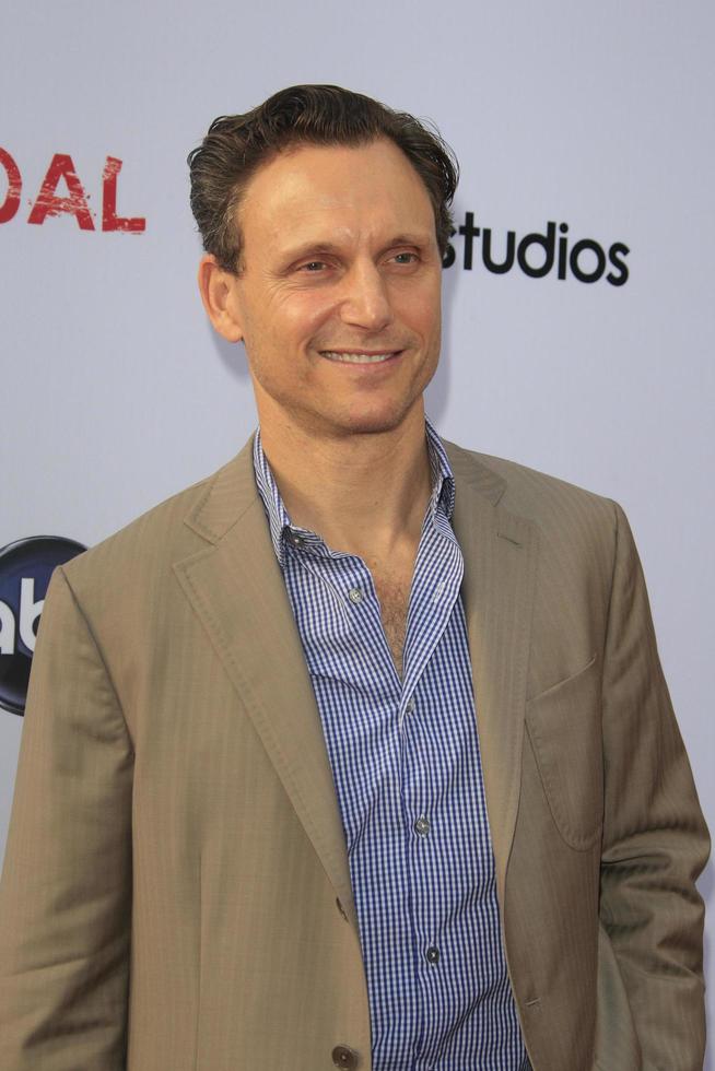 LOS ANGELES, MAY 16 - Tony Goldwyn arrives at An Evening with Scandal at the Leonard H Goldenson Theater on May 16, 2013 in No Hollywood, CA photo
