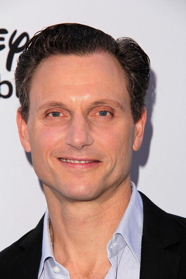 LOS ANGELES, MAY 19 - Tony Goldwyn at the Disney Media Networks International Upfronts at Walt Disney Studios on May 19, 2013 in Burbank, CA photo