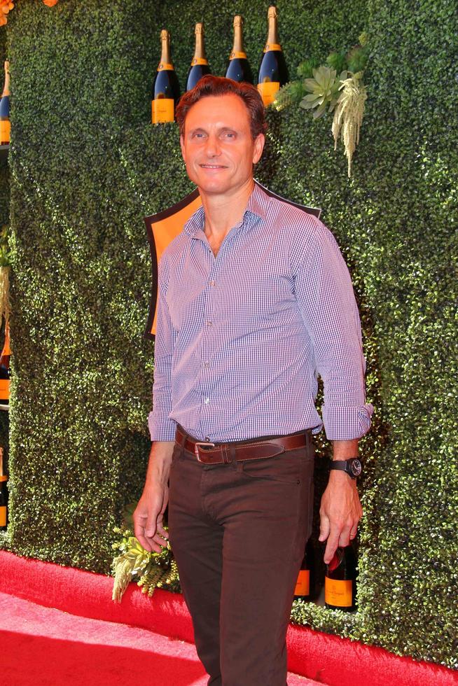 LOS ANGELES, OCT 11 - Tony Goldwyn at the Fifth-Annual Veuve Clicquot Polo Classic at Will Rogers State Historic Park on October 11, 2014 in Pacific Palisades, CA photo
