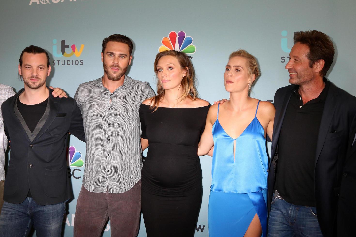 LOS ANGELES, JUN 16 - Aquarius Cast, Gethin Anthony, Grey Damon, Michaela McManus, Claire Holt, David Duchovny at the Aquarius Season 2 Premiere Screening Arrivals at the Paley Center For Media on June 16, 2016 in Beverly Hills, CA photo
