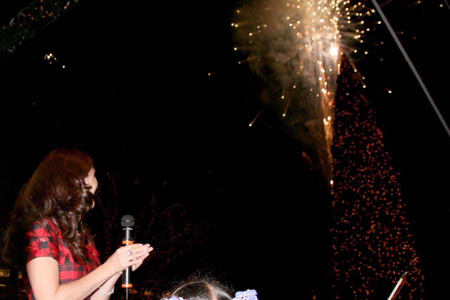 Heather Tom on stage watchins the fireworks after the tree was lite at the Americana Shopping Center Treelighting Ceremony in Glendale, CA on 
November 15, 2008
 2008 Kathy Hutchins Hutchins Photo