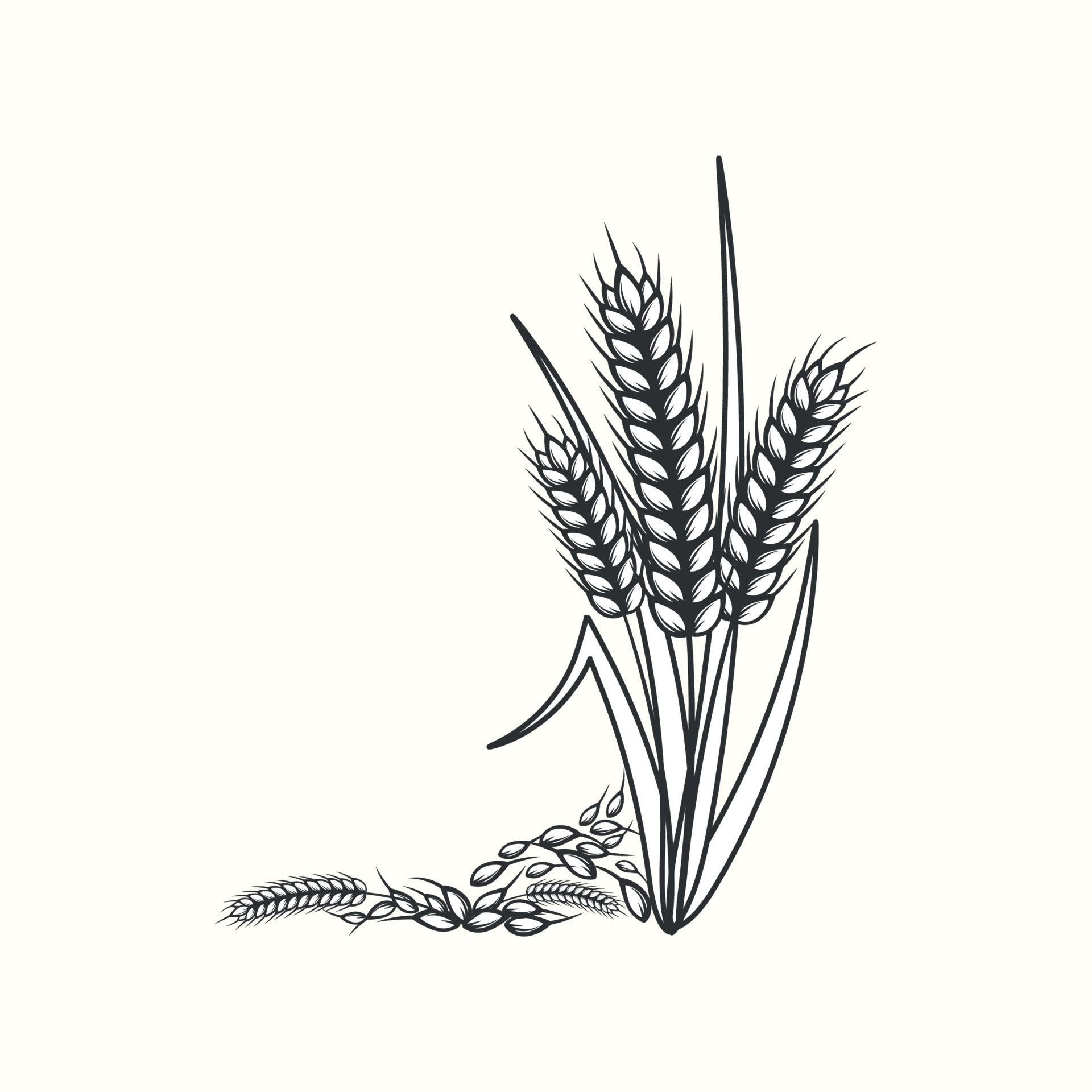 Hand drawn black and white silhouette of wheat ears cereals barley