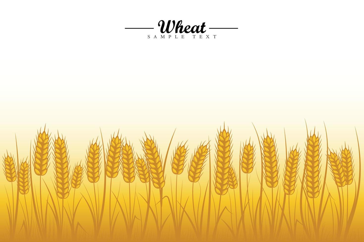 fondo de campo de trigo. espigas doradas de cereales con árbol de trigo y hoja de trigo sobre fondo blanco vector