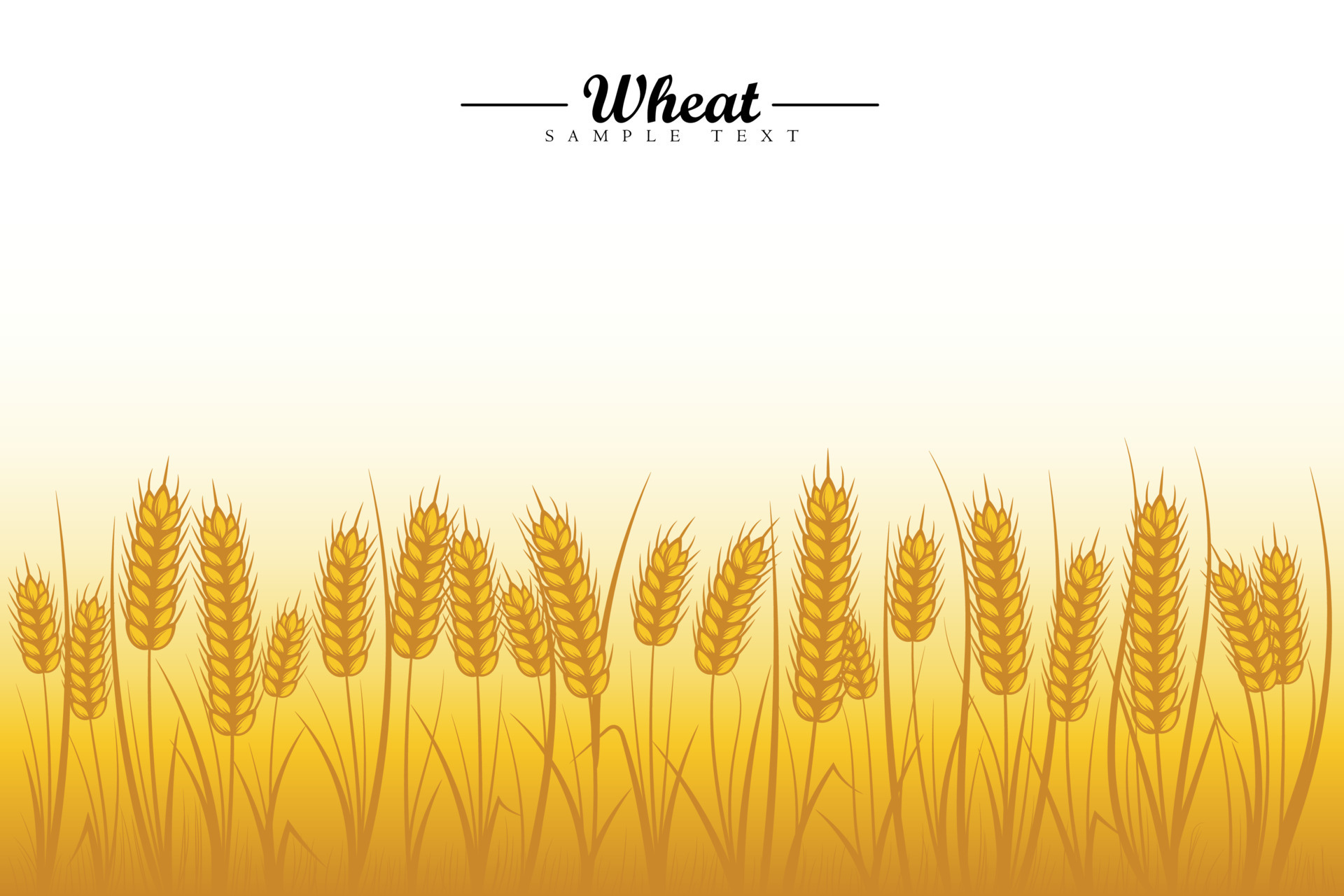 Wheat Field Background Golden Wheat Ears Of Cereals With Wheat Tree And Wheat Leaf On White