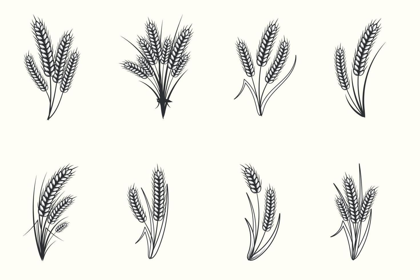 Set of hand drawn black and white silhouette of wheat ears cereals barley illustration in vintage and retro style on white background vector